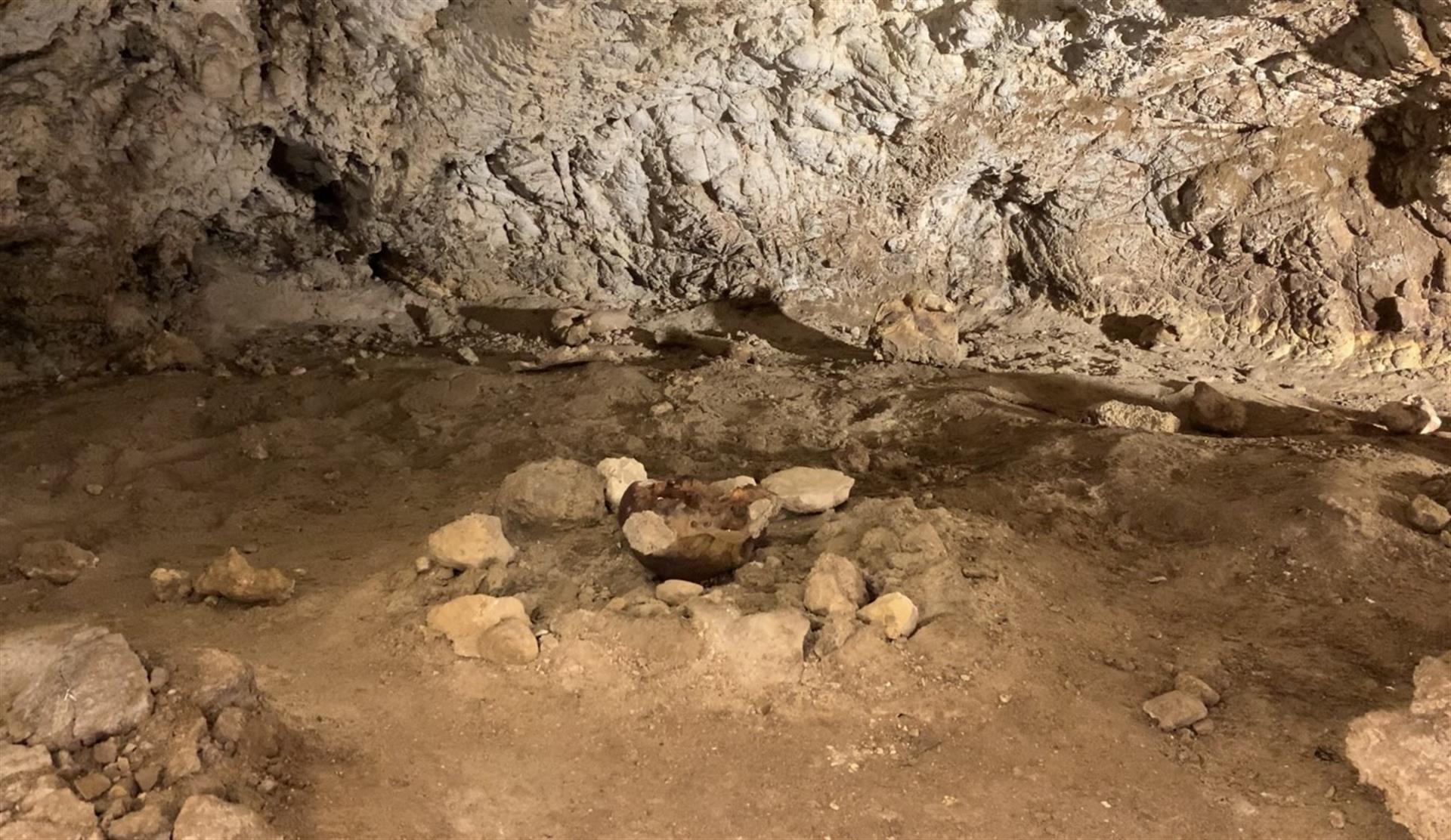 La cueva de Guattari, donde se encontró en 1939 uno de los de los cráneos de neandertal más antiguos de Europa, esconde una historia marcada por la muerte, el canibalismo y las fieras, explicó a Efe el equipo de arqueólogos que excava para conocer el origen de este importante yacimiento paleolítico italiano. Andrea Cuesta. EFE
