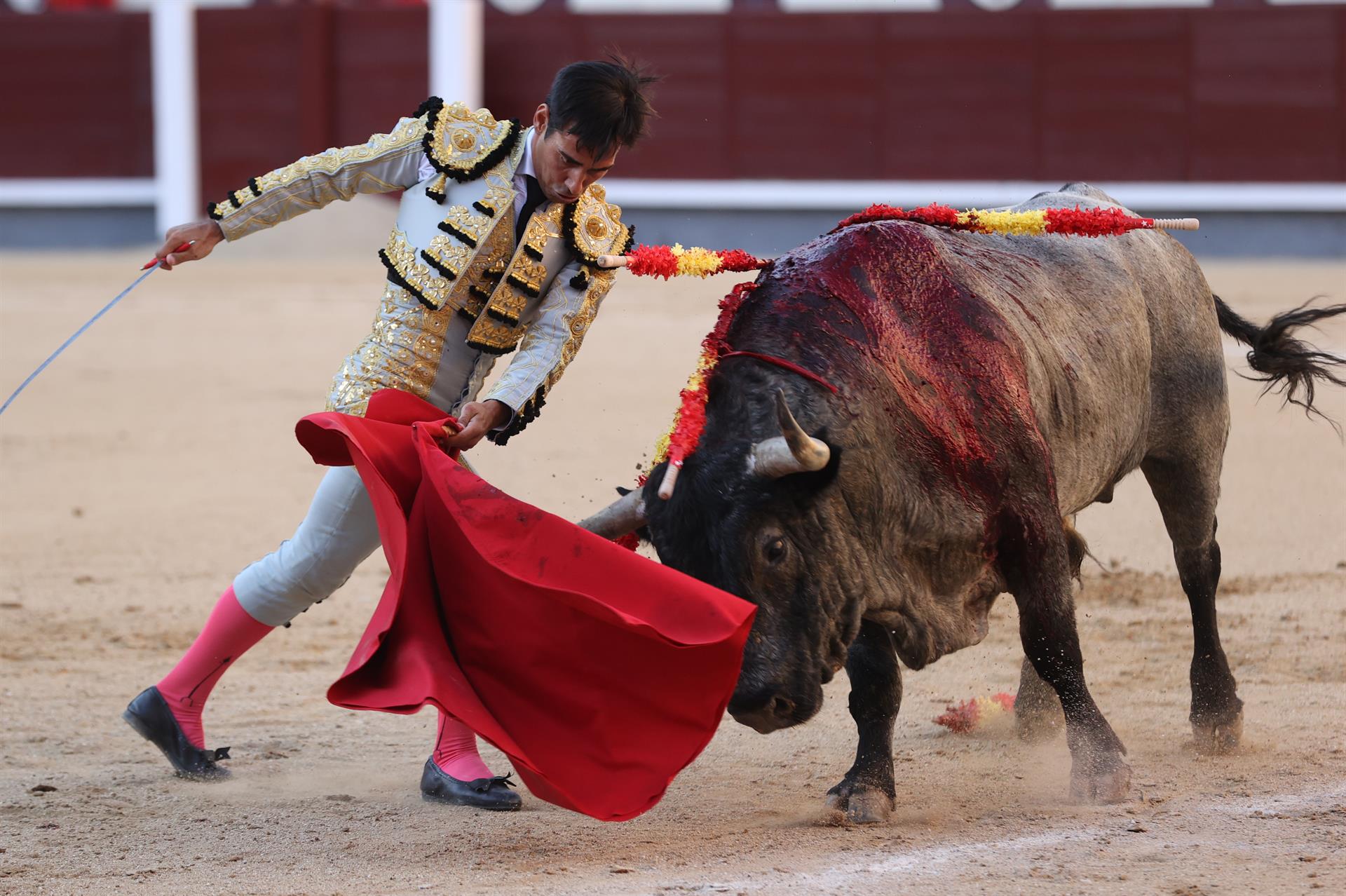 El diestro Gómez del Pilar da un pase a un toro durante la corrida de la Feria de San Isidro celebrada este martes en la plaza de toros de Las Ventas, en Madrid. EFE/Kiko Huesca
