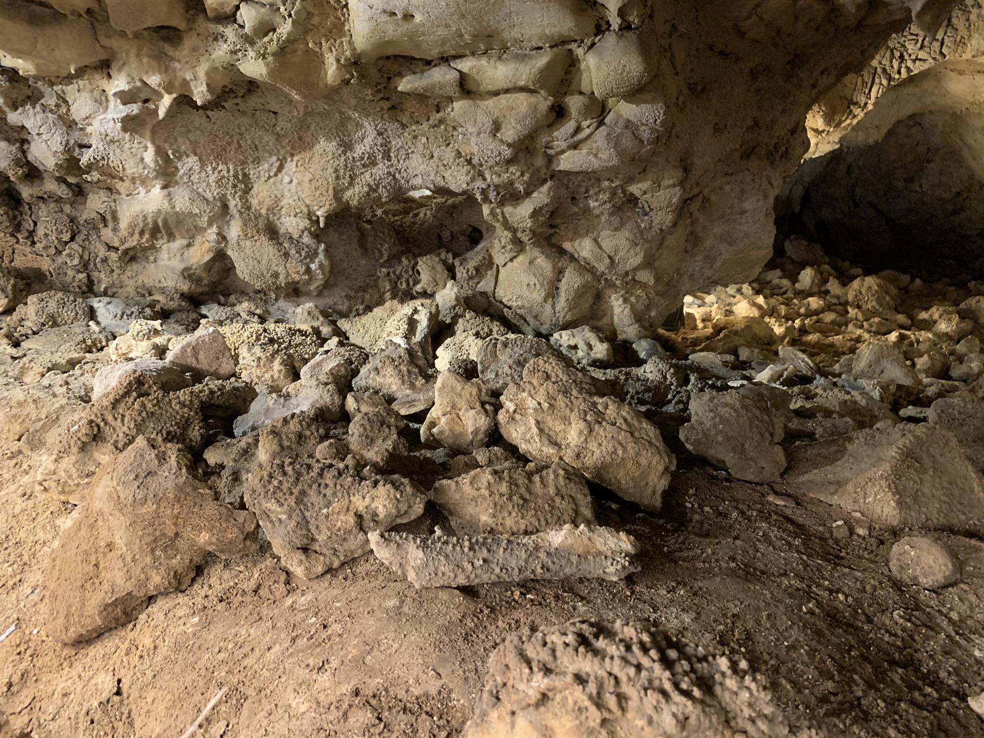 La cueva de Guattari, donde se encontró en 1939 uno de los de los cráneos de neandertal más antiguos de Europa, esconde una historia marcada por la muerte, el canibalismo y las fieras, explicó a Efe el equipo de arqueólogos que excava para conocer el origen de este importante yacimiento paleolítico italiano. Andrea Cuesta. EFE
