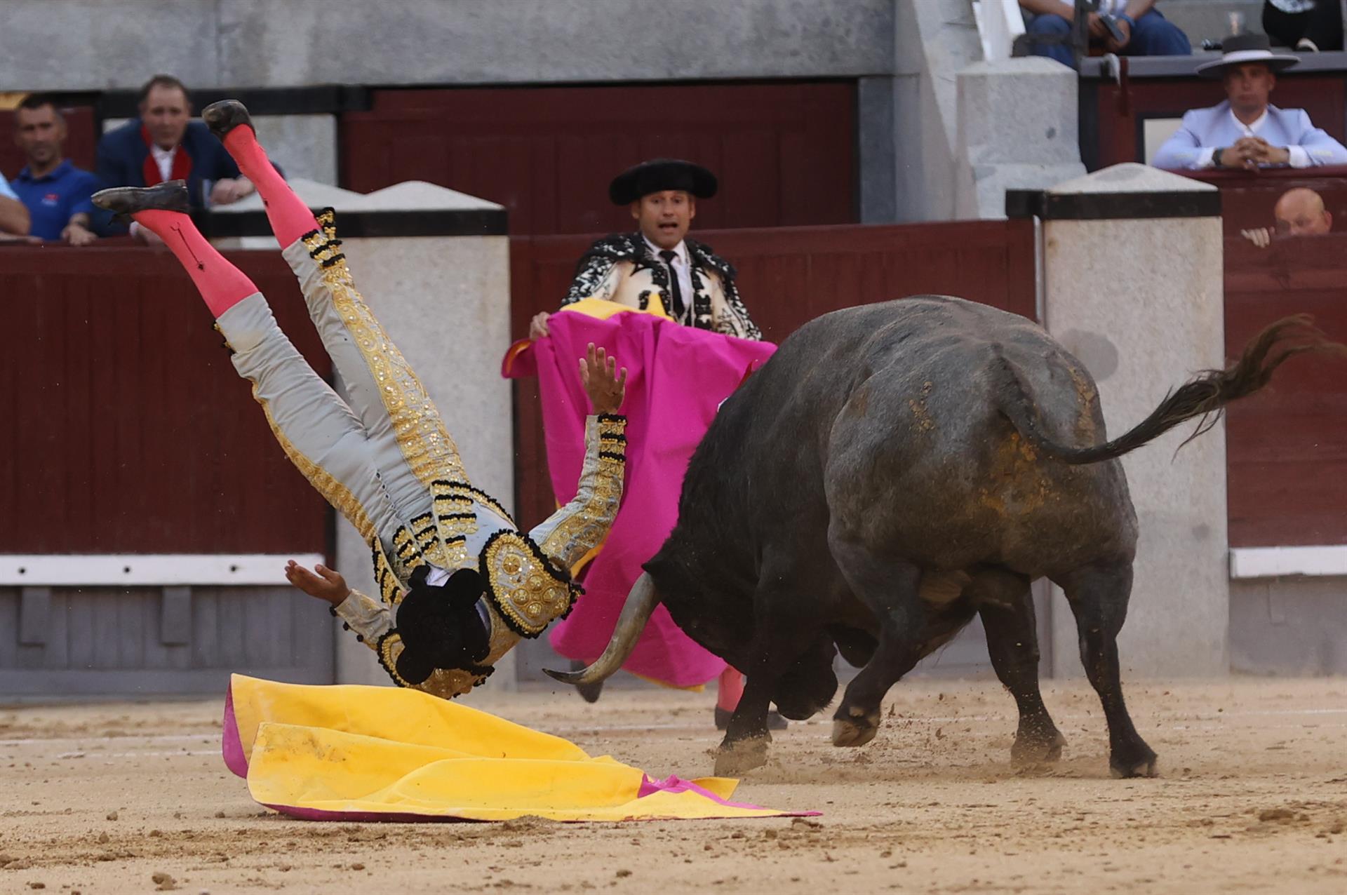 El diestro Gómez del Pilar sufre una cogida durante la corrida de la Feria de San Isidro celebrada este martes en la plaza de toros de Las Ventas, en Madrid. EFE/Kiko Huesca
