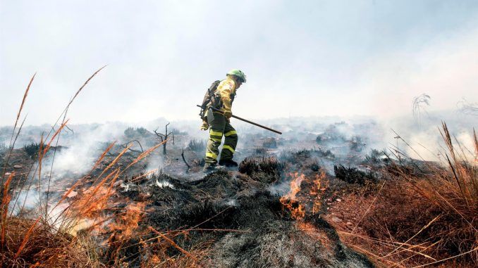 Miembro del Infoca trabaja a pie en la extinción de un incendio forestal. EFE/Miguel Ángel Molina/ARCHIVO
