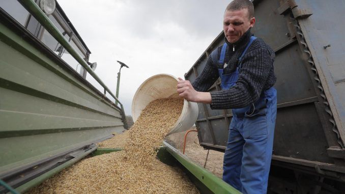 Imagen de archivo de un granjero descargando avena cerca de Kiev. EFE/EPA/SERGEY DOLZHENKO
