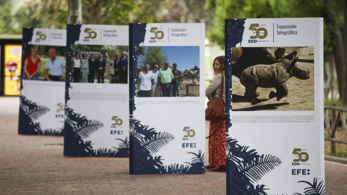 El Zoo de Madrid celebra su 50 aniversario con la presentación este miércoles de la exposición histórica de fotografía, en colaboración con la agencia EFE, “50 años de conservación”. EFE/David Fernández
