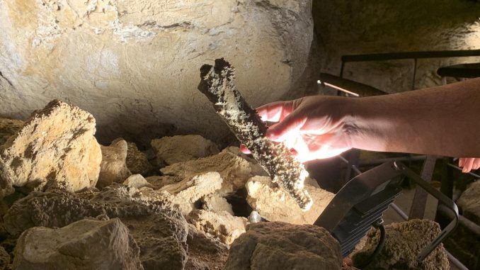 La cueva de Guattari, donde se encontró en 1939 uno de los de los cráneos de neandertal más antiguos de Europa, esconde una historia marcada por la muerte, el canibalismo y las fieras, explicó a Efe el equipo de arqueólogos que excava para conocer el origen de este importante yacimiento paleolítico italiano. Andrea Cuesta. EFE
