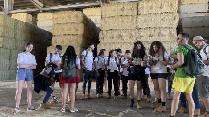 Los jóvenes de la Vuelta al Mundo, una expedición que durante 23 días recorrerá parte de España y Portugal para conmemorar el quinto centenario de la primera circunnavegación, visitan una fábrica deshidratadora de paja y alfalfa en el pueblo de Santervás de Campos, en Valladolid, este lunes. EFE/ Macarena Soto
