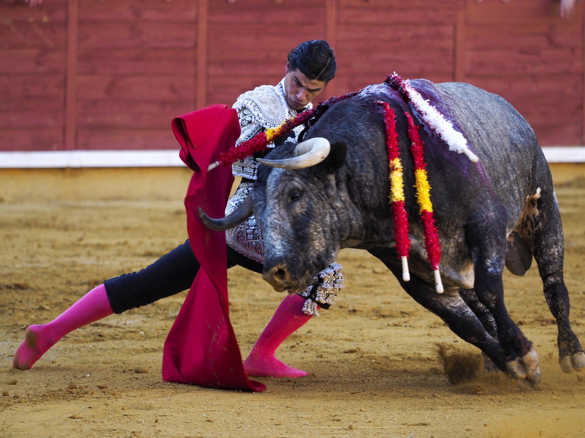 El torero Pablo Aguado durante la corrida de la Feria de San Julián celebrada este lunes en la plaza de toros de Cuenca. EFE/José del Olmo
