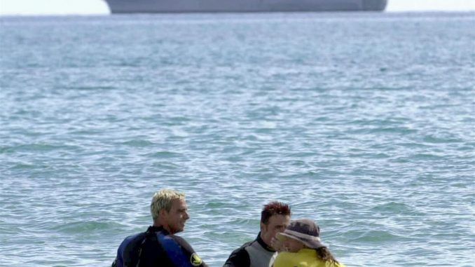 Imagen de archivo de personal de Salvamento de Playas del Ayuntamiento de Pájara en la isla canaria de Fuerteventura, tratan de ayudar a un ejemplar de zifio, a volver al mar. EFE/Juan Medina
