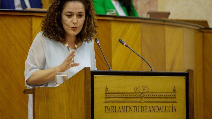 La portavoz del grupo parlamentario Por Andalucía, Inmaculada Nieto, durante una intervención. EFE/Archivo
