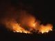 Imagen de archivo de un incendio forestal en Jaén. EFE/Archivo