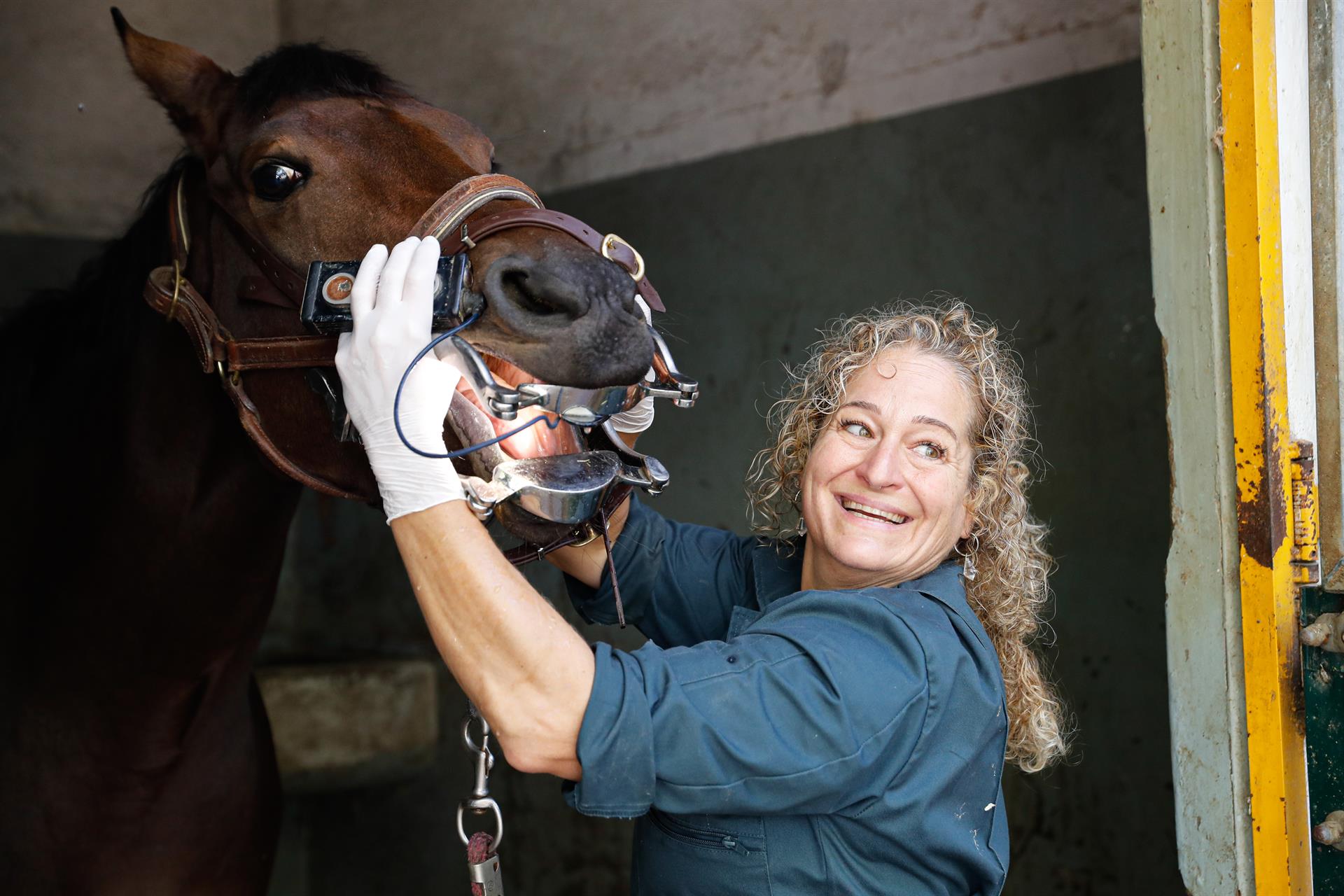 Carla Manso, veterinaria especializada en odontología de caballos, actual presidenta de la Sociedad Europea de Odontología Veterinaria. EFE/Luis Millán
