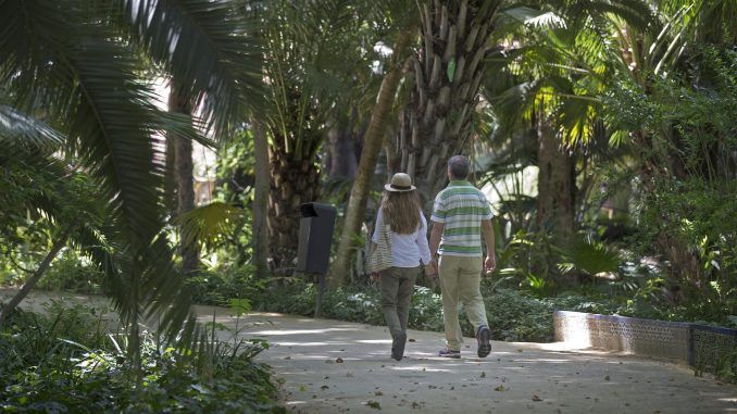 Una pareja pasea por el parque de Maria Luisa en Sevilla, en una foto de archivo.EFE/Jose Manuel Vidal.
