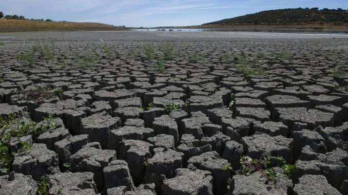 Vista del embalse de El Vicario (Ciudad Real) este miércoles. Los diez embalses de la provincia de Ciudad Real han bajado 2,1 hectómetros cúbicos (hm3) en el último mes, según los datos recogidos este miércoles por Efe de las Confederaciones Hidrográficas del Guadiana y Guadalquivir. EFE/Jesús Monroy
