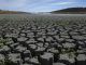 Vista del embalse de El Vicario (Ciudad Real) este miércoles. Los diez embalses de la provincia de Ciudad Real han bajado 2,1 hectómetros cúbicos (hm3) en el último mes, según los datos recogidos este miércoles por Efe de las Confederaciones Hidrográficas del Guadiana y Guadalquivir. EFE/Jesús Monroy