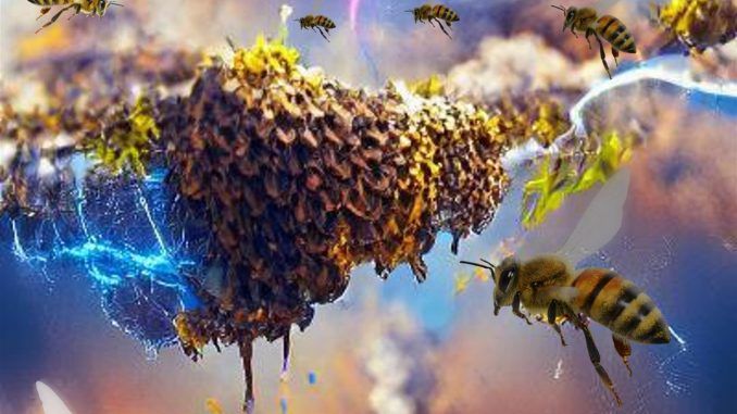 Fotografía de una recreación de abejas facilitada por Ellard Hunting, biólogo de la Universidad de Bristol y primer autor del trabajo que ha descubierto que las abejas melíferas pueden producir tanta carga eléctrica atmosférica como una nube de tormenta, lo que demuestra que algunos seres vivos pueden modificar la electricidad atmosférica y configurar fenómenos meteorológicos. EFE
