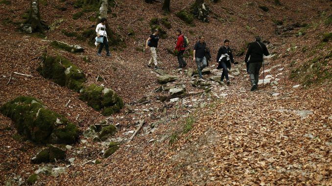 Varias personas pasean hoy por la Selva de Irati, en Navarra. EFE/ Jesus Diges
