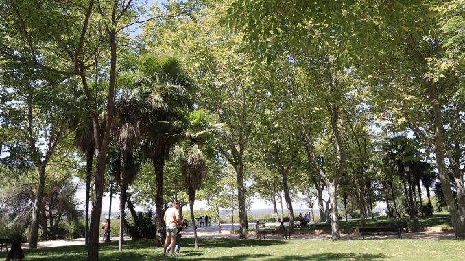 Vista de un parque madrileño, en una fotografía de archivo. EFE/Zipi
