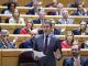 El líder del PP, Alberto Núñez Feijóo, interviene en el pleno del Senado en Madrid este martes. EFE/Kiko Huesca