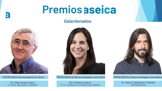 De izquierda a derecha: Elías Campo, premiado por su dilatada trayectoria profesional, Ángela Lamarca, galardonada con el Premio al Talento Investigador Clínico Joven, y Alejo Fraticelli, Premio al Talento investigador Básico Joven. Fotografía facilitada por la Asociación Española de Investigación sobre el Cáncer (Aseica). EFE
