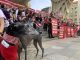 En la imagen de archivo, participantes en una concentración contra la nueva ley animal. EFE/Fermín Cabanillas