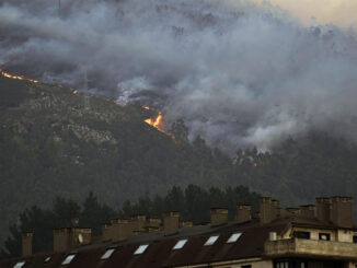 Incendio del Monte Naranco, en Oviedo (Asturias), a primeras horas de la mañana. EFE/Paco Paredes