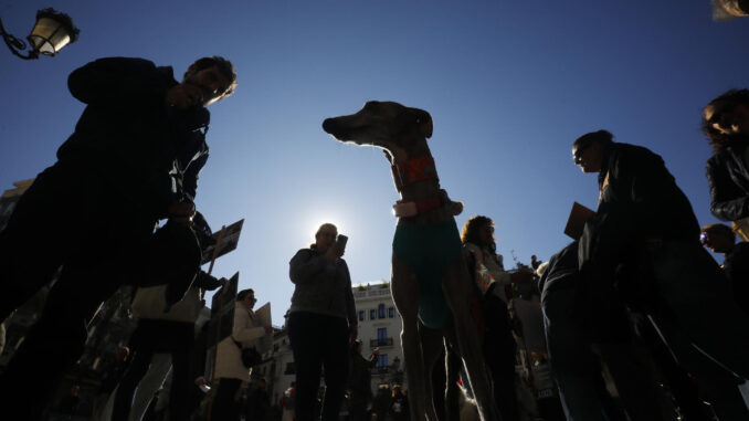 Manifestación convocada para pedir que todos los animales, incluidos los perros de caza, estén incluidos en la Ley de Protección Animal, en una fotografía de archivo. EFE/Salas
