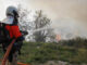 Un bombero intenta sofocar las llamas en el Monte Naranco, junto a la ciudad de Oviedo, este viernes. EFE/Juan González