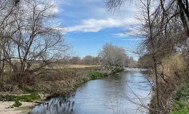 rio control de mosquitos getafe