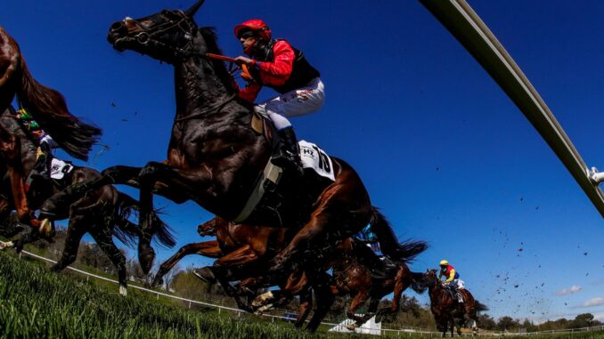 Fotografía de una carrera en el Hipódromo de la Zarzuela, en foto de archivo de Juanjo Martín. EFE
