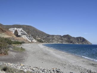 El Ayuntamiento de Carboneras (Almería) ha celebrado un pleno extraordinario en el que se ha desclasificado el paraje de El Algarrobico para declararlo no urbanizable, lo que facilitará que se anule la licencia del hotel construido por Azata del Sol y su posterior derribo. EFE/Carlos Barba