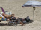 Playa del Postiguet, en Alicante.EFE/Morell