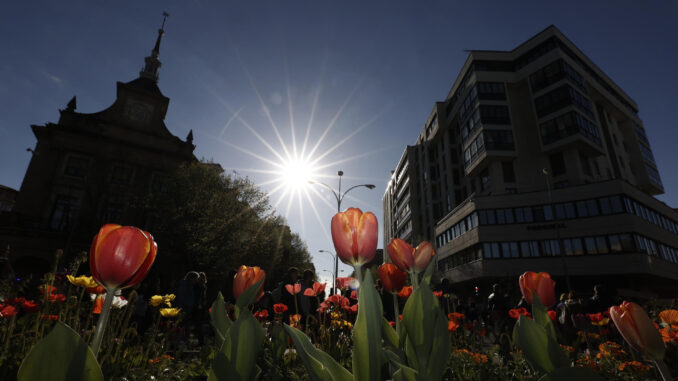 La primavera se hace evidente hoy en los parques de Pamplona con tulipanes y las margaritas que los rodean. EFE/ Jesús Diges
