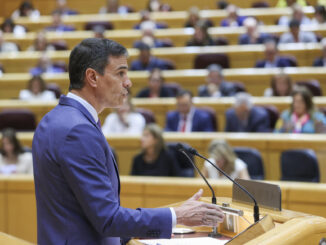 El presidente del Gobierno, Pedro Sánchez, en el pleno del Senado. EFE/ Kiko Huesca