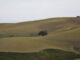 Vista de los campos de cultivo en Córdoba. EFE/Salas