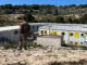 Un soldado del Ejército italiano vigila el único centro de acogida primaria de inmigrantes en la isla de Lampedusa. EFE/Gonzalo Sánchez