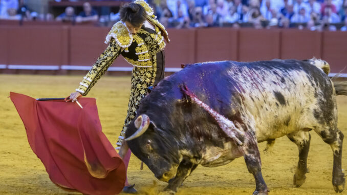 El diestro peruano Roca Rey da un pase a su segundo toro, este viernes en la Real Maestranza de Sevilla. EFE/ Raúl Caro
