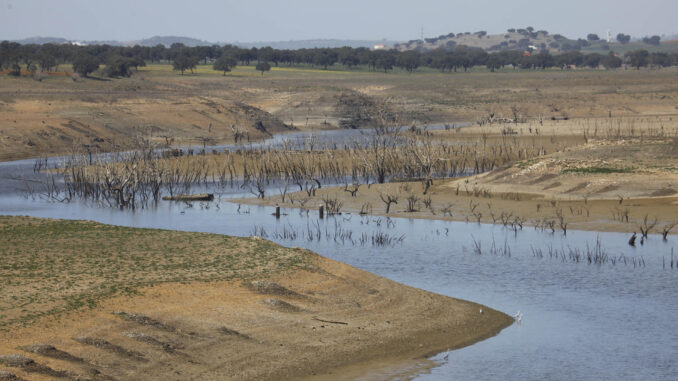 En la imagen de archivo, escasez de agua en el embalse de Sierra Boyera en Bélmez (Córdoba). EFE/Salas
