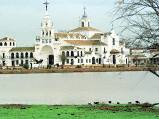 Imagen de archivo de las marismas de la Rocina, pertenecientes al Parque Nacional de Doñana.EFE / MIGUEL VAZQUEZ