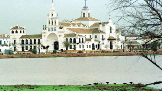 Imagen de archivo de las marismas de la Rocina, pertenecientes al Parque Nacional de Doñana.EFE / MIGUEL VAZQUEZ
