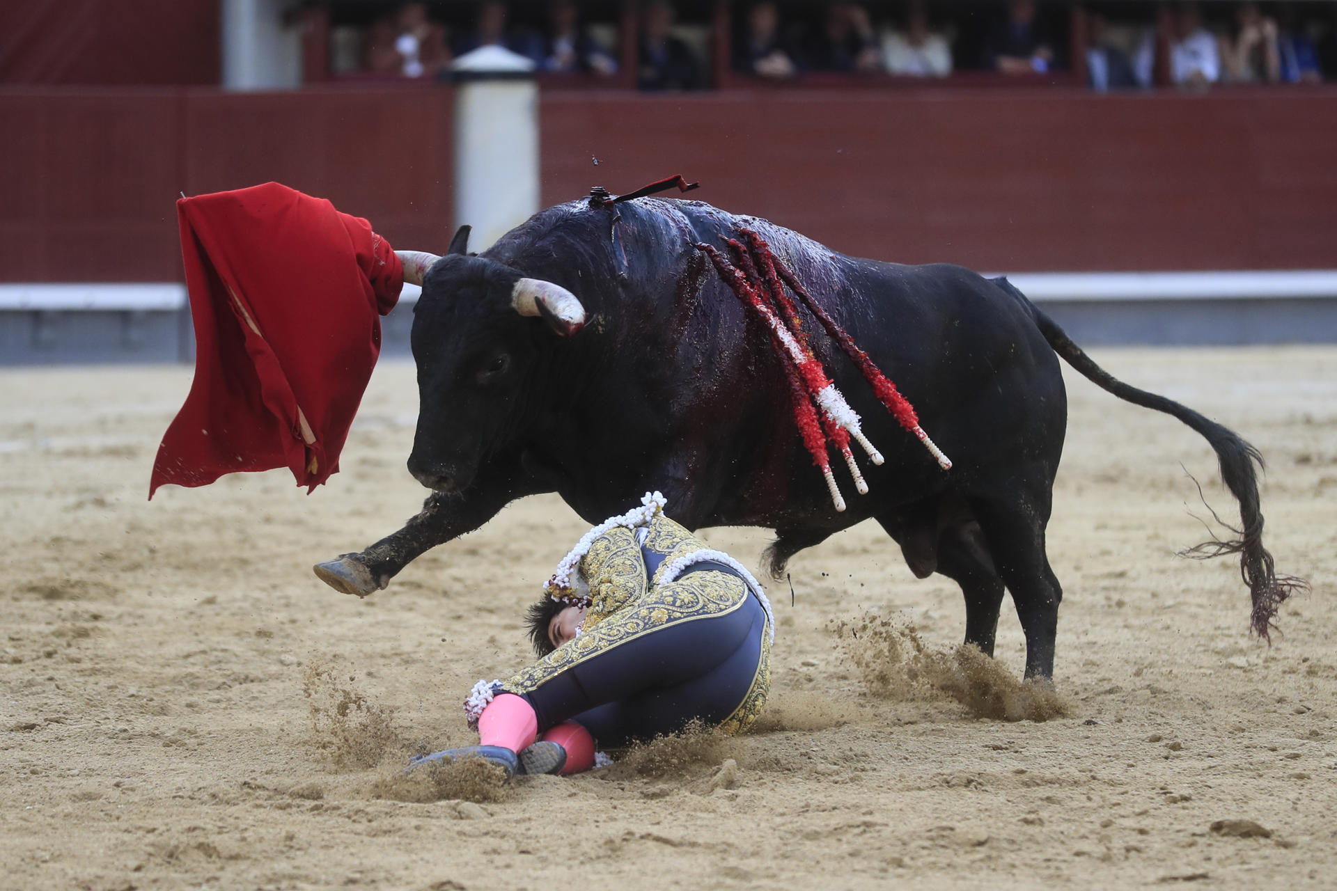 El diestro Álvaro Lorenzo tras sufrir un revolcón en su faena durante la corrida celebrada hoy miércoles en la plaza de toros de Las Ventas, en Madrid. EFE/ Fernando Alvarado.
