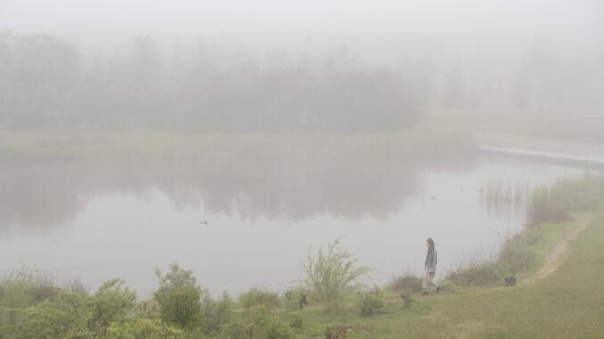 Una mujer pasea con sus perros en el jardín botánico de Olarizu, en Vitoria, ciudad que amanece este miércoles cubierta por una espesa niebla. EFE/David Aguilar
