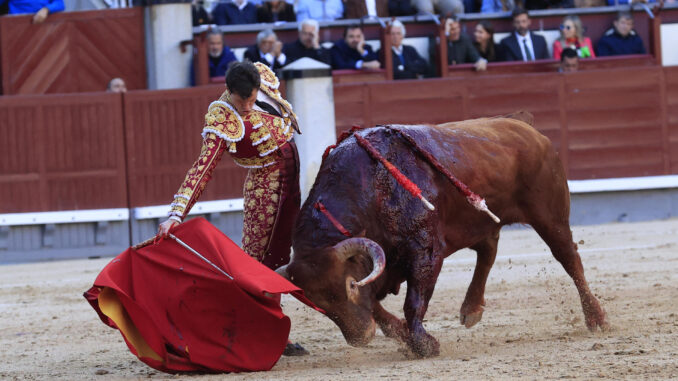 El diestro Daniel Luque durante la faena de su segundo toro, de la ganadería de Juan Pedro Domecq, en el tercer festejo de la Feria de San Isidro, este viernes en la Monumental de Las Ventas, en Madrid. EFE/ Zipi Aragon
