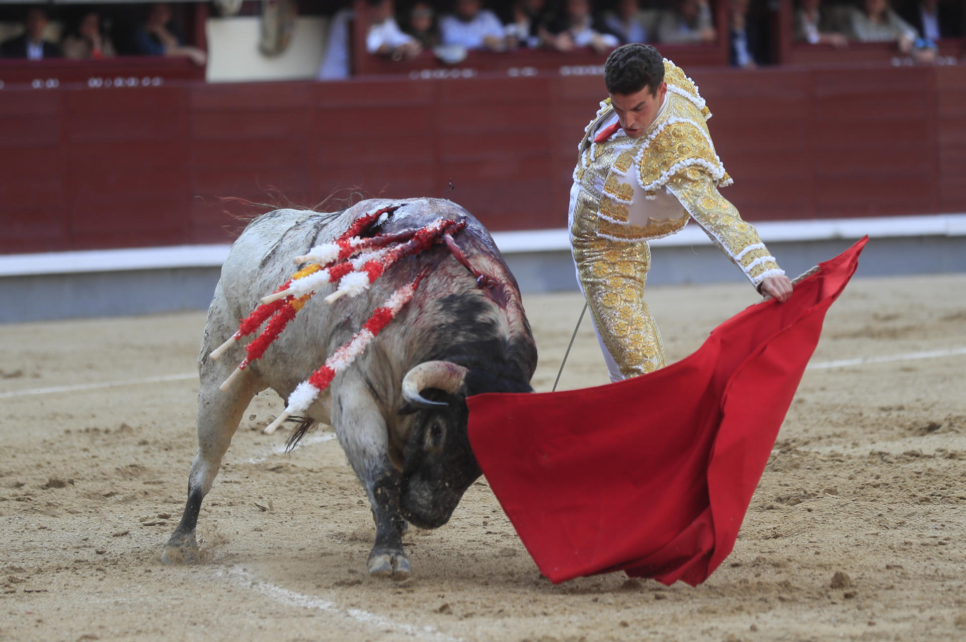 El torero Fernando Adrián participa este miércoles, en una corrida de toros de la Feria San Isidro en Madrid. EFE/ Fernando Alvarado
