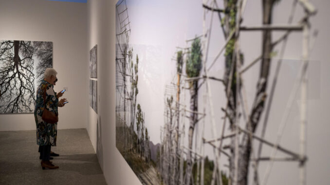 Una mujer visita la exposición "José Manuel Ballester. De arboris perennis" enmarcada dentro de PhotoEspaña 2023, este miércoles en el Real Jardín Botánico de Madrid. EFE/ Fernando Villar
