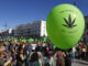 Vista de la Marcha Mundial de la Marihuana, este sábado en la Puerta del Sol en Madrid, para exigir la legalización del cannabis. EFE/JJ Guillén