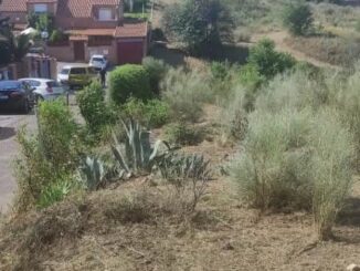 El Ayuntamiento refuerza los trabajos de desbroce en Parque Coimbra-Guadarrama para prevenir los riesgos de incendios