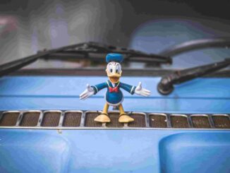 El Pato Donald celebra su día: Historia y legado del inolvidable personaje de Disney