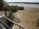 Vista del cauce artificial del río Guadaíra, en la localidad sevillana de Coria del Río, donde la Consejería andaluza de Medio Ambiente ha instalado bombas para extraer agua que mantenga el nivel de inundación del antiguo tramo del río Guadalquivir conocido como Brazo del Este para salvaguardar este humedal estratégico, próximo a Doñana y el riego para arrozales. Archivo EFE/ José Manuel Vidal