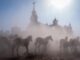 Alrededor de 1.500 cabezas de equinos en estado semisalvaje pasan delante de la ermita de El Rocío (Huelva), tras salir esta mañana de la marisma de Doñana hasta los corrales del recinto ganadero municipal de Almonte, Huerta de la Cañada, en la conocida como 'Saca de las Yeguas', una tradición ancestral que los almonteños vienen realizando desde hace más de 500 años cada 26 de junio. EFE/Julián Pérez