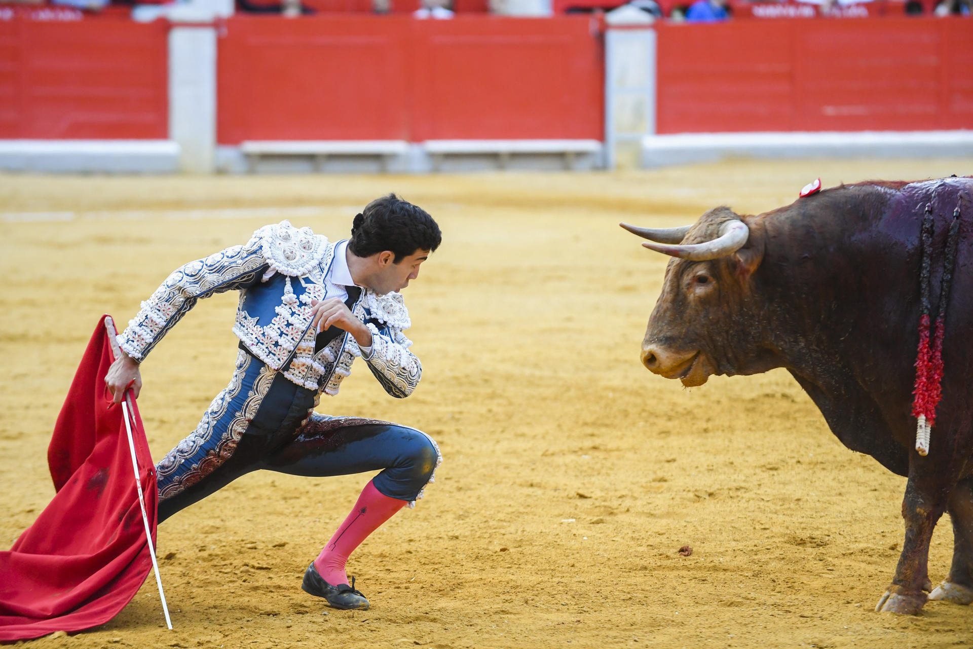 El diestro Tomás Rufo participa en una corrida de toros parte de la celebración de la fiesta del Corpus Christi este viernes, en Granada. EFE/Miguel Ángel Molina
