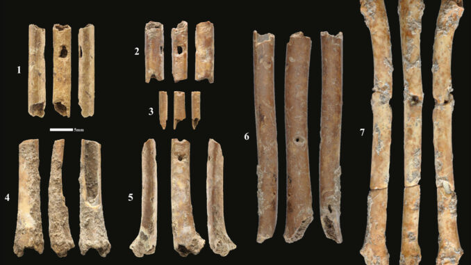 Huesos de más de 12.000 años de antigüedad que han sido encontrados en unas excavaciones al norte de Israel por un equipo de investigadores franceses e israelíes. Se trata de huesos con perforaciones y son los instrumentos musicales más antiguos encontrados hasta ahora en Oriente Medio. EFE/Centro Nacional de Investigación Científica de Francia (CNRS) / Laurent Davin /  ***SOLO USO EDITORIAL/SOLO DISPONIBLE PARA ILUSTRAR LA NOTICIA QUE ACOMPAÑA (CRÉDITO OBLIGATORIO)***
